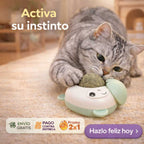 Pelota de Catnip Antiestrés para Gatos – Pack x2